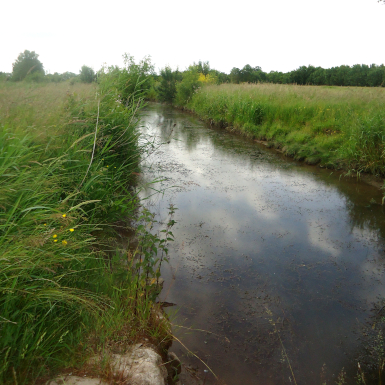 Mesures agro-environnementales et climatique (MAEC)