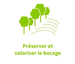 Préserver et valoriser le bocage