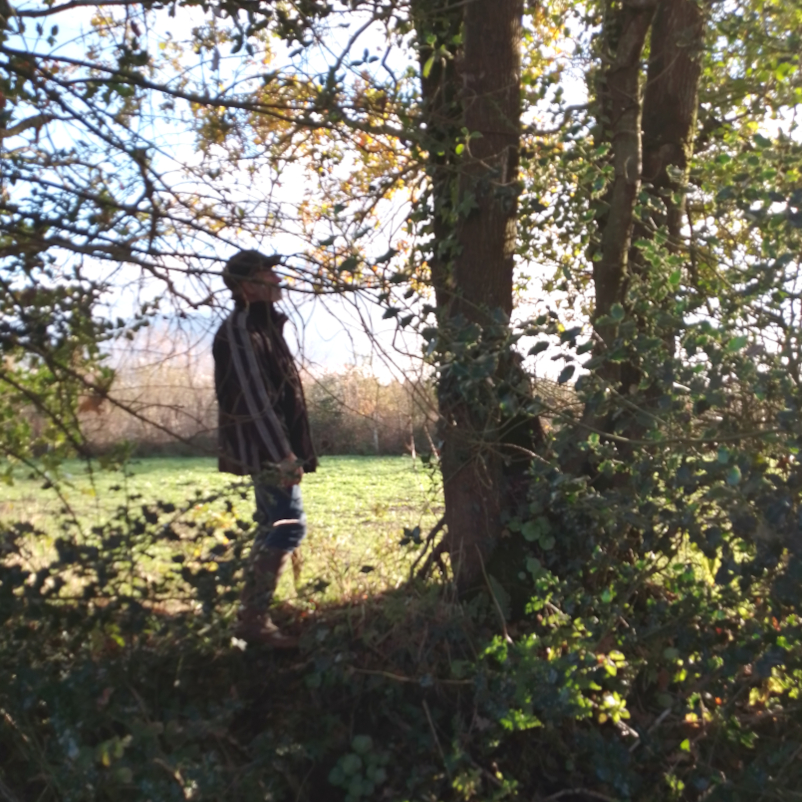 Gestion pérenne du bocage