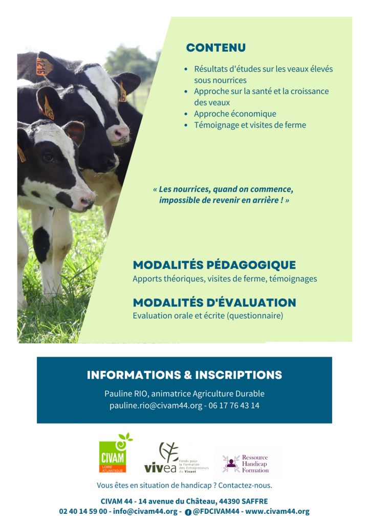 Mettre en place un troupeau de vaches nourrices 2