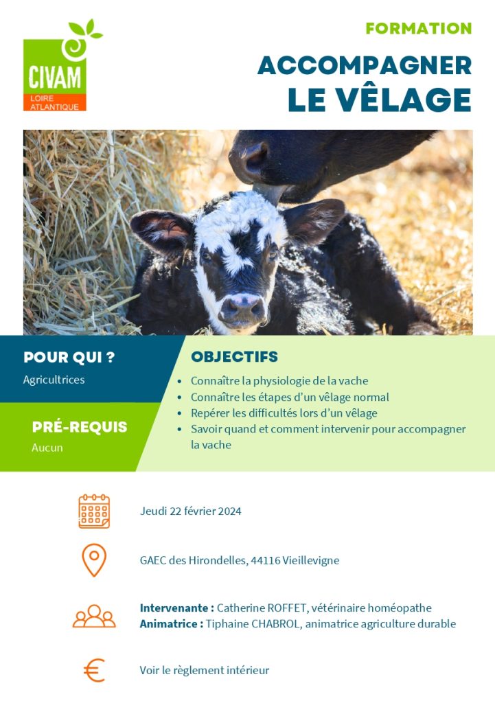 Accompagner le vêlage 1