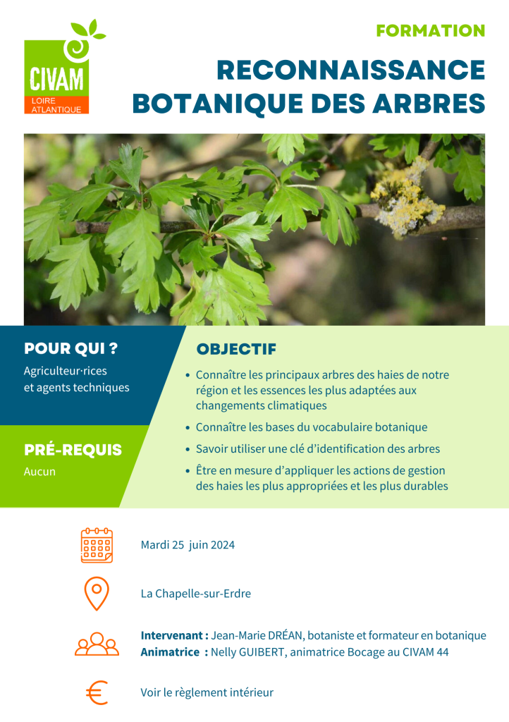 Reconnaissance botanique des arbres 1