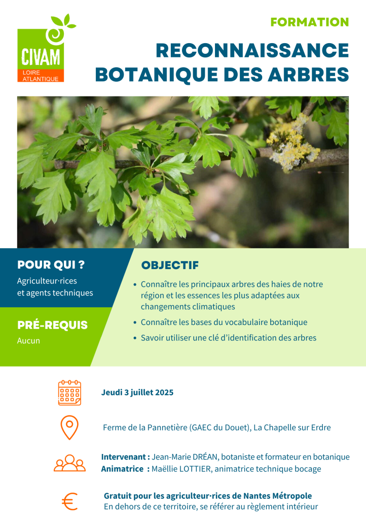 Reconnaissance botanique des arbres 1