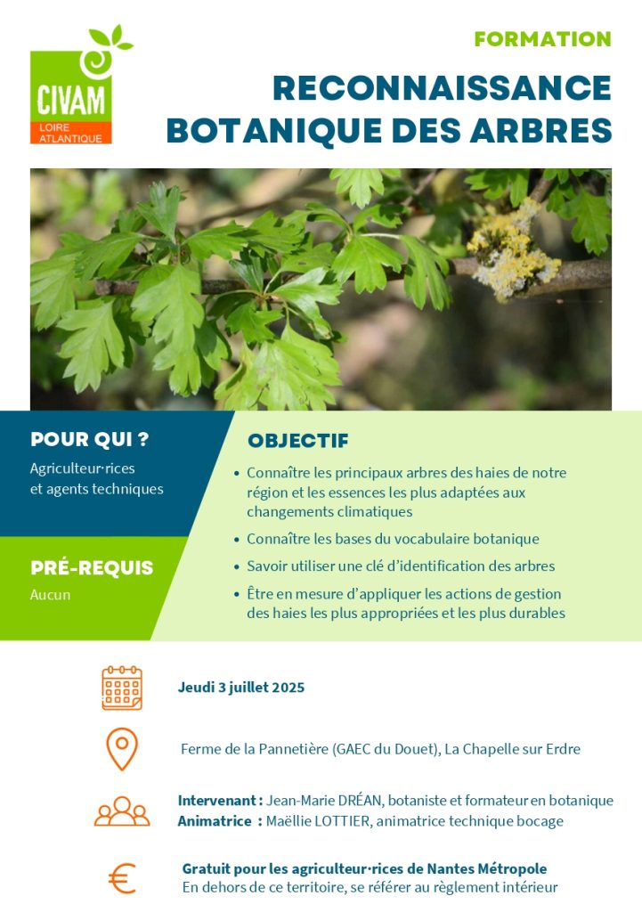 Reconnaissance botanique des arbres 1