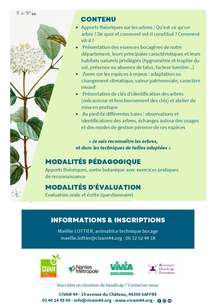 Reconnaissance botanique des arbres 2