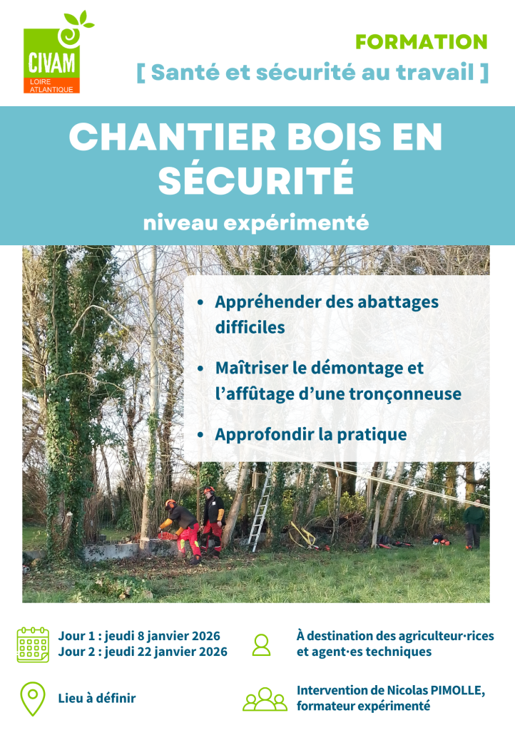 Chantier bois en sécurité - niveau expérimenté 1