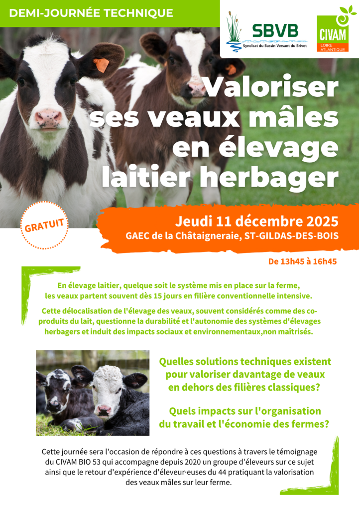 Valoriser ses veaux mâles en élevage laitier herbager 1