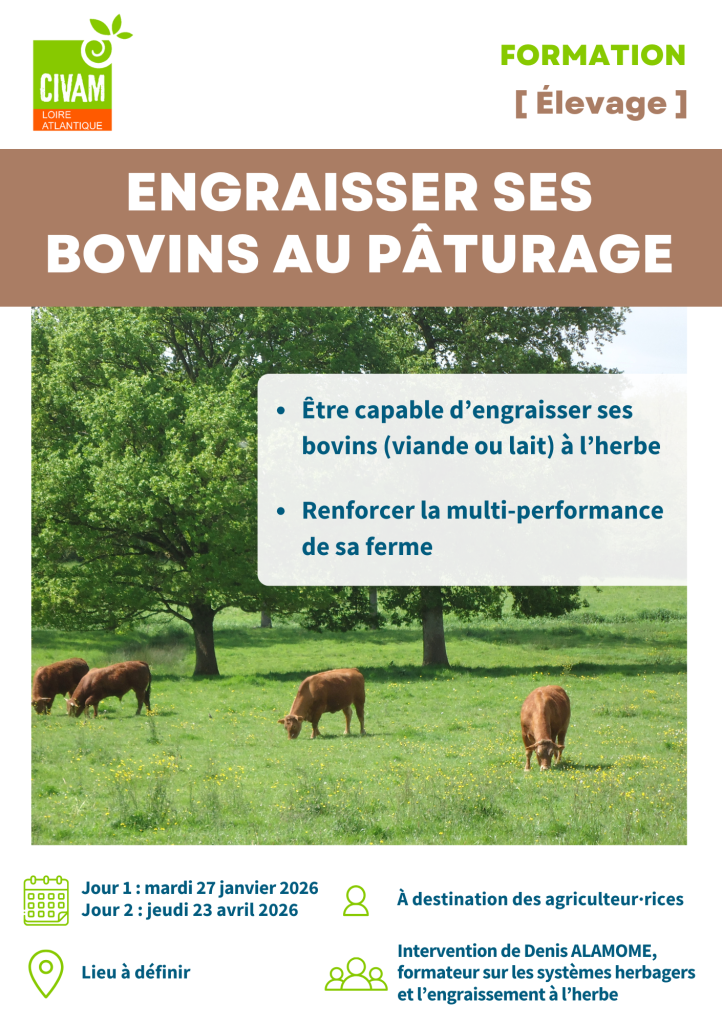 Engraisser ses bovins au pâturage 1