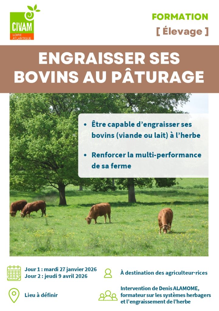 Engraisser ses bovins au pâturage 1