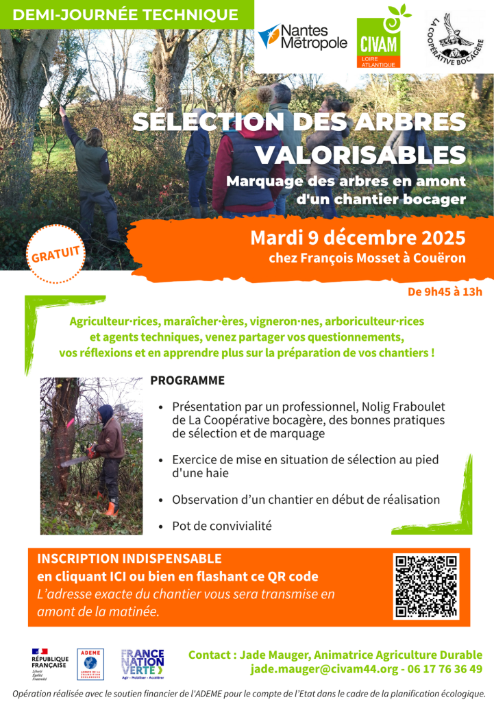 Sélection des arbres valorisables