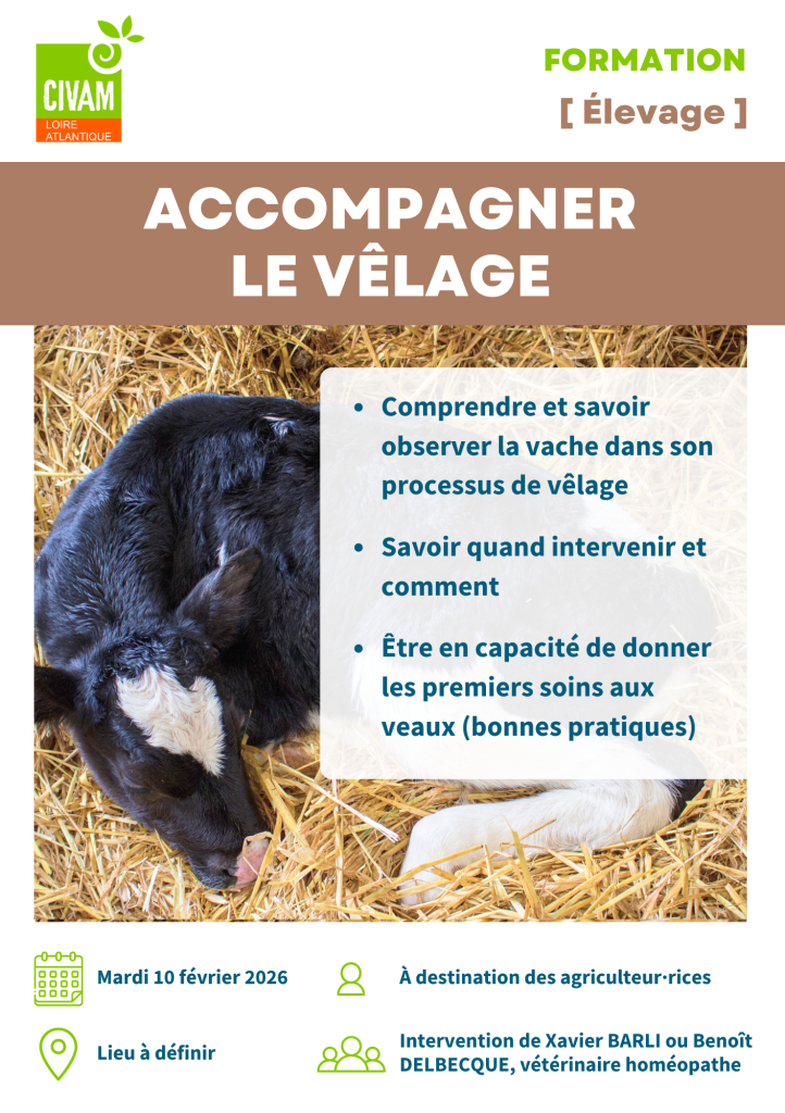 Accompagner le vêlage 1