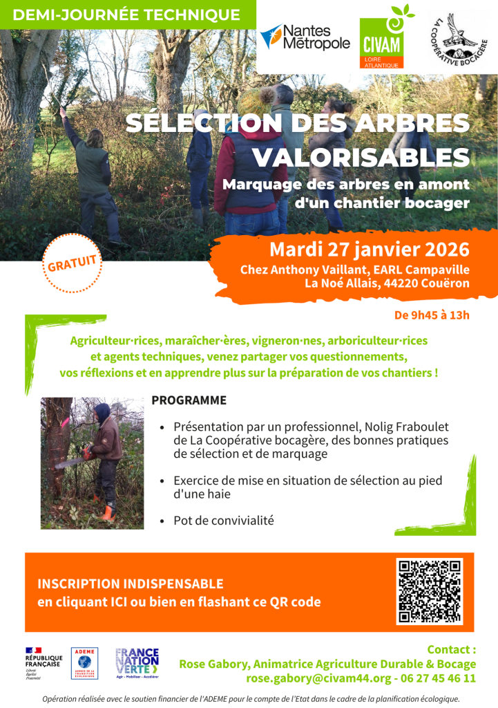 Sélection des arbres valorisables