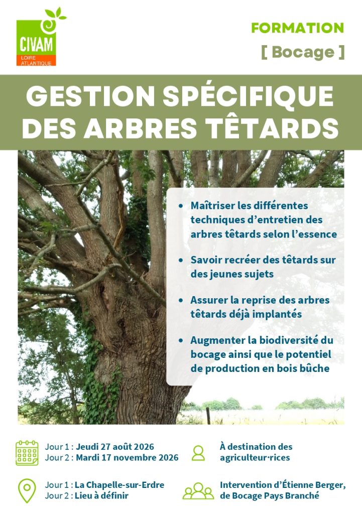 Gestion spécifique des arbres têtards 1