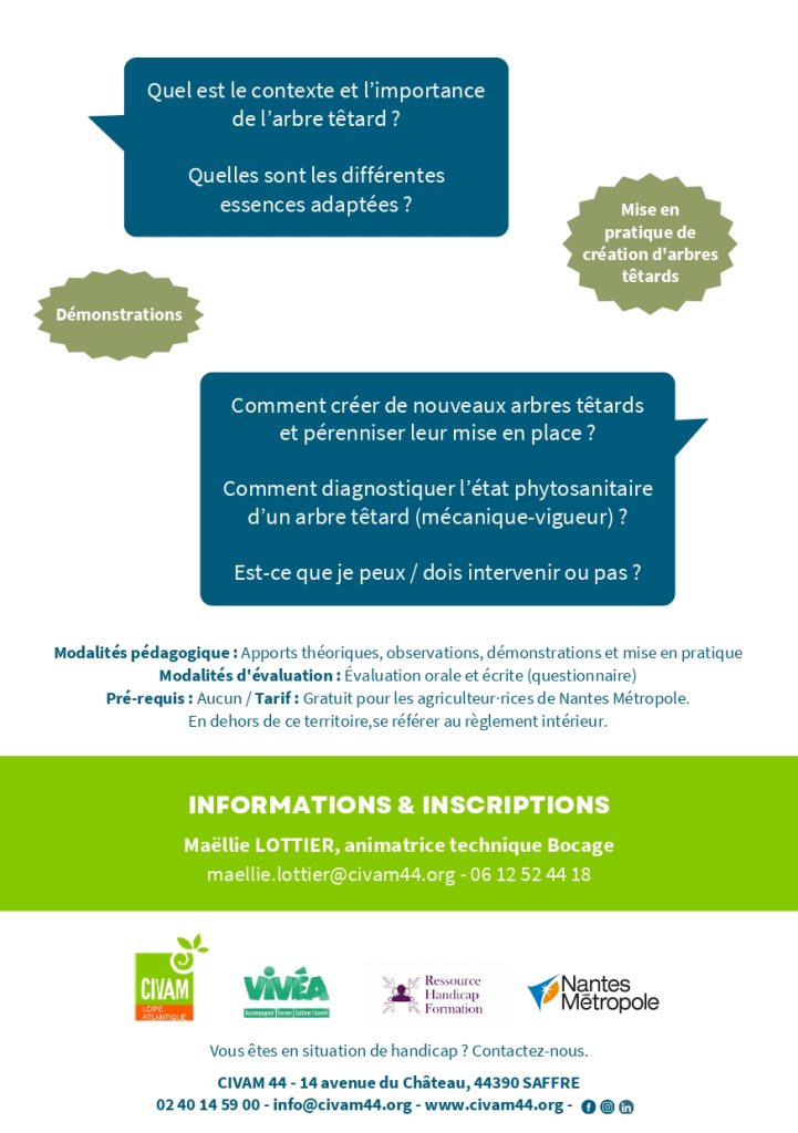 Gestion spécifique des arbres têtards 2