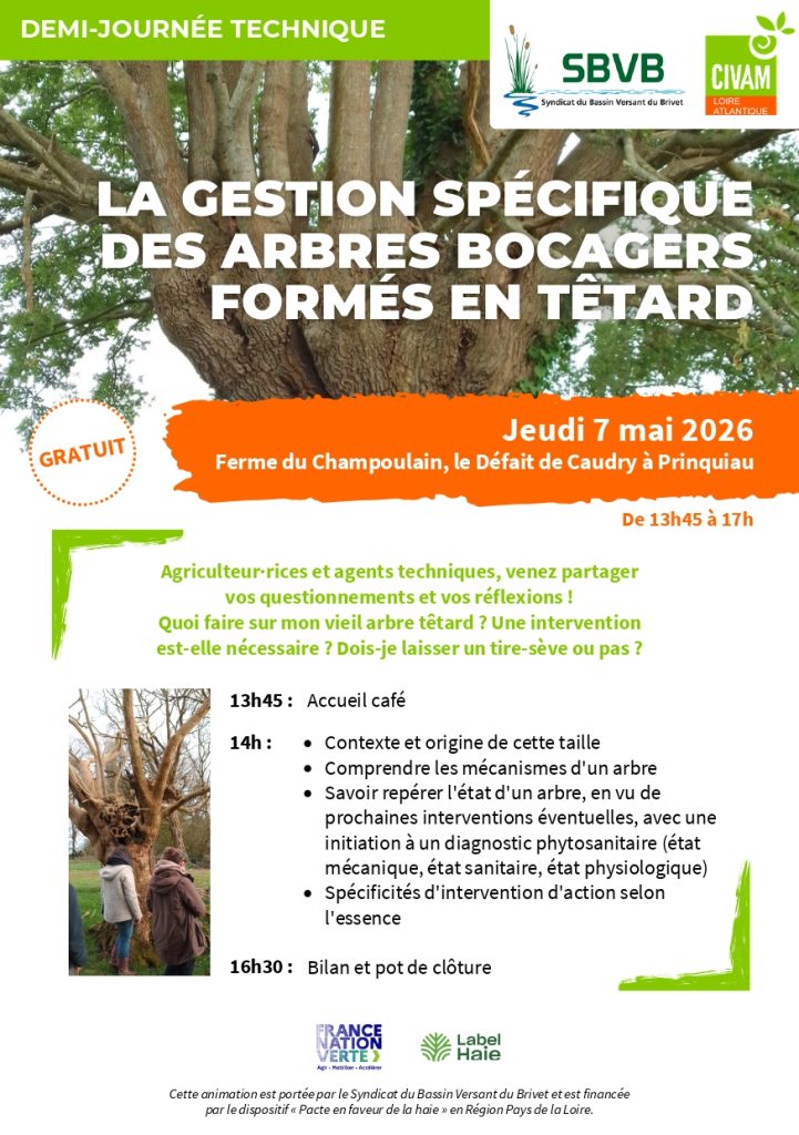 La gestion spécifique des arbres bocagers formés en têtard 1