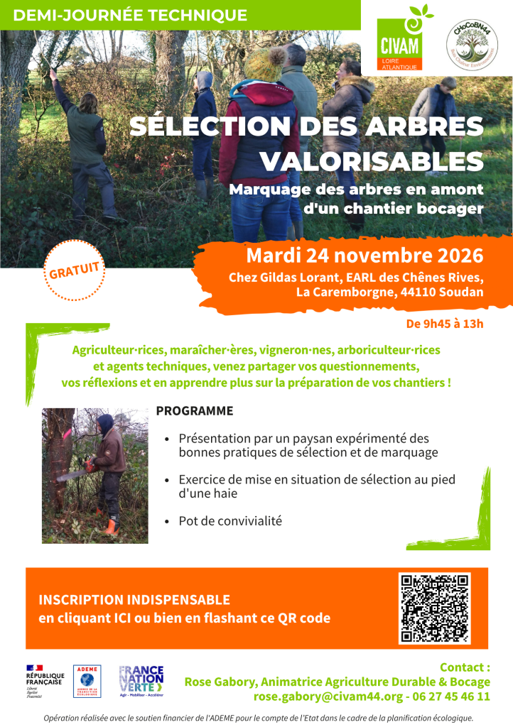 Sélection des arbres valorisables