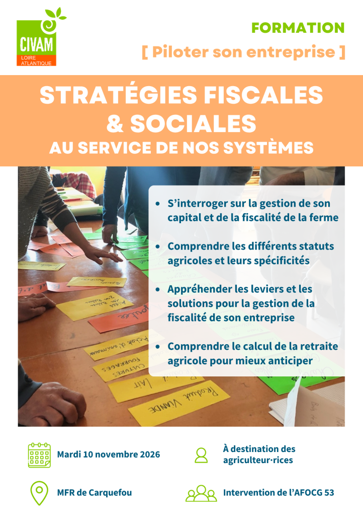 Stratégies fiscales et sociales au service de nos systèmes 1